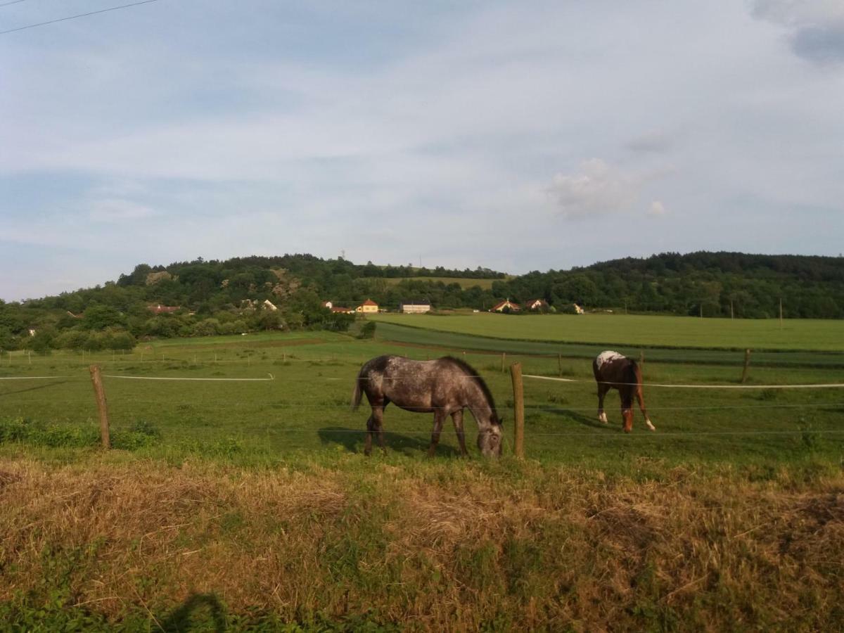 Appartamento Za Kopcem Boskovice